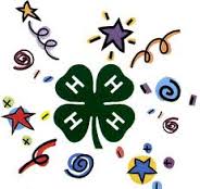 4-H cloverjpg